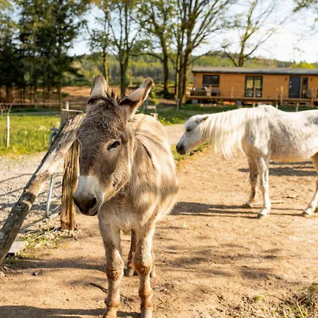 Farma Mlyn Vakantieboerderij Drasov